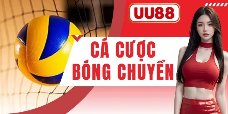 Cá Cược Bóng Chuyền