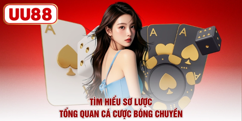 Tìm hiểu sơ lược tổng quan cá cược bóng chuyền