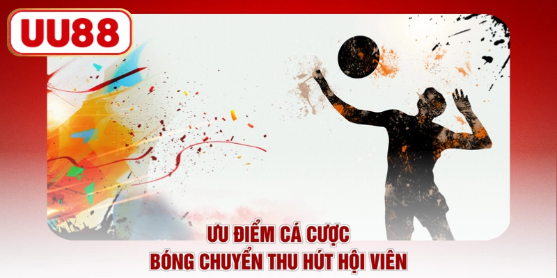 Ưu điểm cá cược bóng chuyền thu hút hội viên
